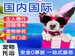 景德镇罗家机场邮寄国际宠物托运 【国